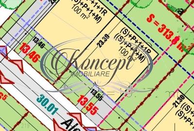 Teren Construcții intravilan de 626 mp, în Borhanci - 4
