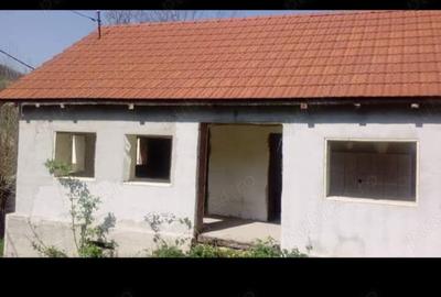 Vand doua case in sat 23 August sau schimb cu garsoniera in Severin - 2