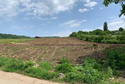 Teren intravilan | 5100 mp | zona Gusterita - 1