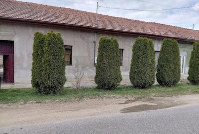 Casă cu 3 camere cu Teren 2158 Mp în Fârdea - 10