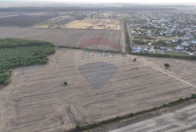 Teren Construcții intravilan de 40300 mp, în Tamași - 4