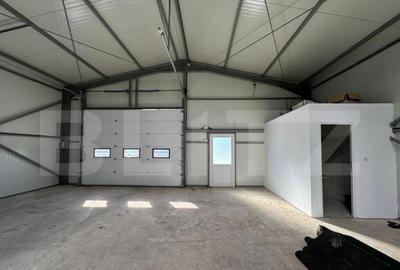 Hala 194 mp utili, platforma betonata 770 mp ?i teren to - 6