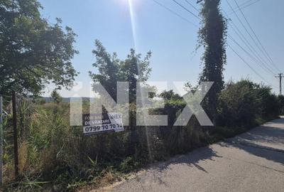 Teren intravilan Bascov - Lunca | 3151 mp - 2