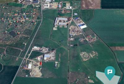 Teren intravilan de 26,606mp Sacalaz - 3