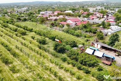 Teren de 540286 mp, în Urechești - 14