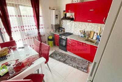 CASA  BUCIUM VISANI INSIRUITA  P+1 STATIE TRANSPORT PUBLIC - 8