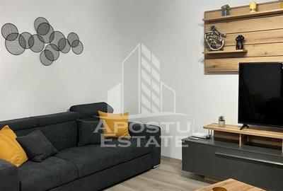 Apartament cu 2 camere decomandat, mobilat în Take Ionescu - 5