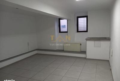 Spațiu comercial, de 100 mp, în Take Ionescu - 8