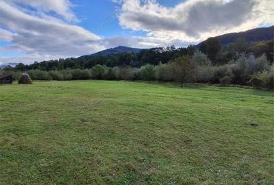 Teren intravilan 6000 mp, Pangarati, cu iesire la raul Bistrita - 3