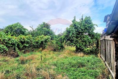 Casă cu 3 camere în Nădab - 8