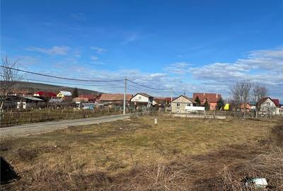 Teren Construcții intravilan de 1000 mp, în Vest - 5