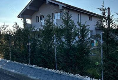 Casa spatioasa, mobilata,utilata,perfect pentru familie- Simian - 1