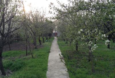 Sector 5, strada Teius, Bucuresti - 1