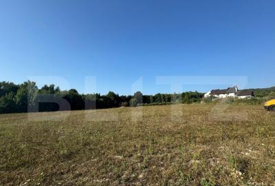 Teren intravilan, 3000mp, com. Darmanesti - 3