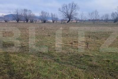 Teren de 500 mp, în Sânpetru - 2