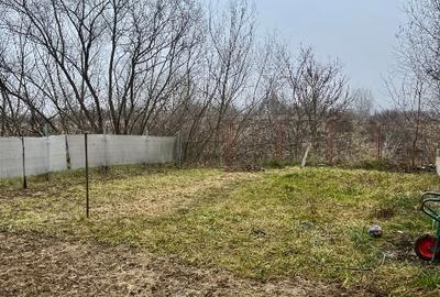 Casa Buna Ziua zona linistita - 2