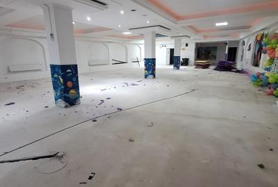 Ultracentral , spatiu comercial , 396 mp. - 4