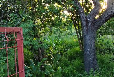 Casă cu 2 camere cu Teren 396 Mp în Ronaț - 3