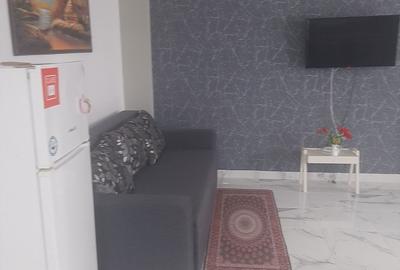 Apartament cu 2 camere decomandat în Nord - 7