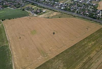 Tern intrevilan 4003 mp - 3