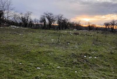 Teren de 1683 mp, în Stănești - 1