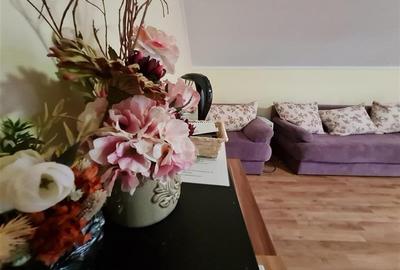 La intrare in Simon, Bran, pensiune turistica, constructie noua, vedere panorami - 10