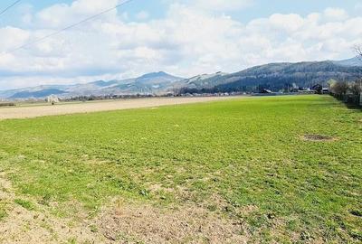 Teren de 8906 mp, în Dofteana