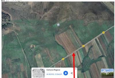 Teren de 29400 mp, în Rogova - 1