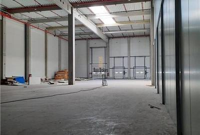 Spatiu Industrial - 7500 mp - Logistica - Productie - Depozitare - Distributie - 12