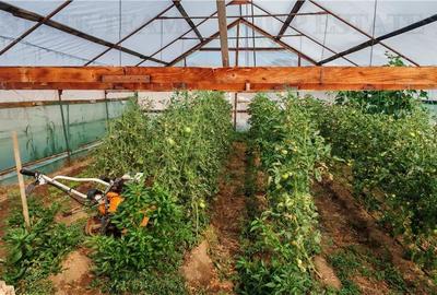 Ferma 3,3ha, din care 2,5ha intravilan, vila 7 camere, D+P+E+M, casa pentru munc Ferma 3,3ha, din care 2,5ha intravilan, vila 7 camere, D+P+E+M, casa pentru munc - 14