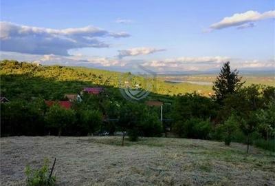 Teren Intravilan, Podgoria - 3