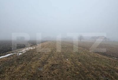 Teren de 2500 mp, în Central - 4