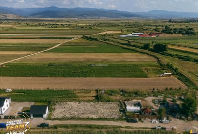 Spațiu comercial, în Sânzieni - 7