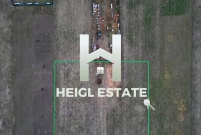 Teren de 1500 mp, în Pișchia