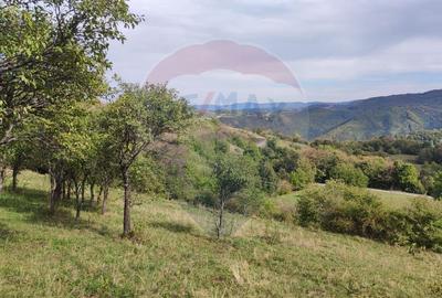 Teren Construcții intravilan de 1500 mp, în Damiș - 10