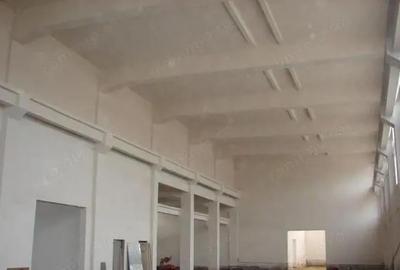 Spațiu comercial, de 2,500 mp, în Otopeni