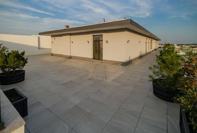 Penthouse spectaculos 291 mp cu terasa superba 450 mp in zona Mihai Bravu - 15