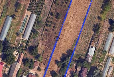 Casă cu 4 camere în Crivăț - 8