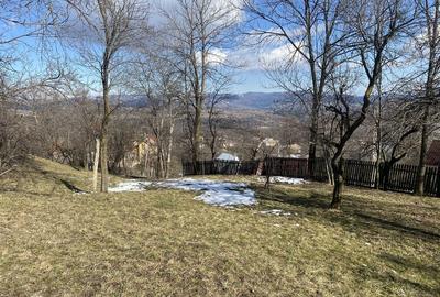 Teren de 2500 mp, în Talea