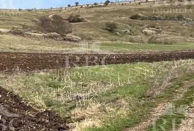 Teren extravilan de 6300 mp, în Gârbău - 6