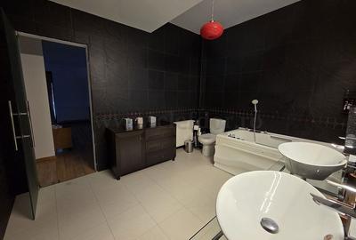 Vila in apropiere de IANCU NICOLAE-JOLIE VILLE - 20