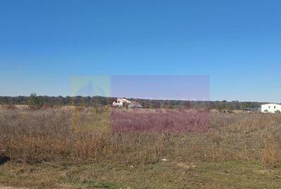 Sabareni, teren rezidential 6290 mp, cu 52m FS, utilita... - 5