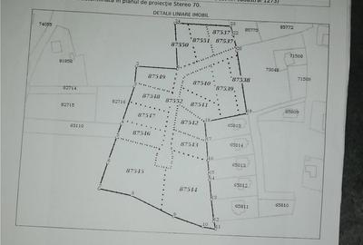 Teren de 700 mp, în Uricani - 3