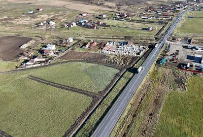 Teren Construcții intravilan de 15000 mp, în Dumești - 3