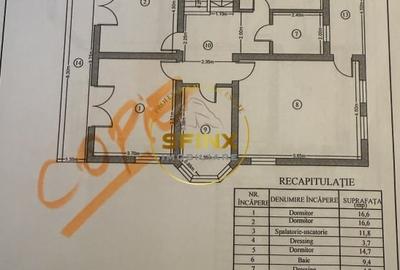 Casa 6 Camere, gradina spectaculoasa, Erou Iancu Nicolae - 10