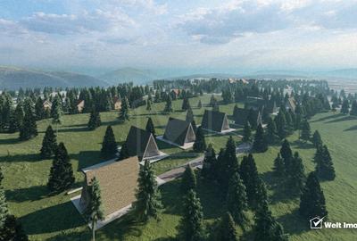 Teren Construcții intravilan de 10814 mp, în Beliș - 3