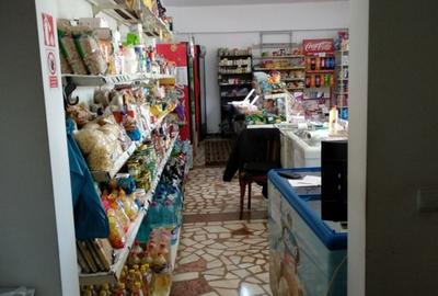 Spațiu comercial, de 100 mp, în Triaj - 9