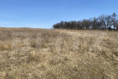 Teren extravilan in suprafata de 140551 mp in loc. Recea - 6