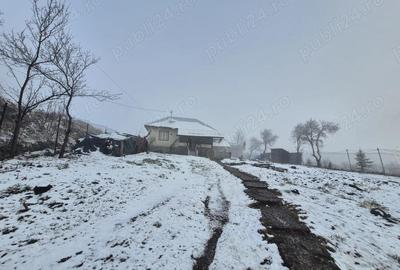 Casă cu 2 camere cu Teren 5135 Mp în Central - 10