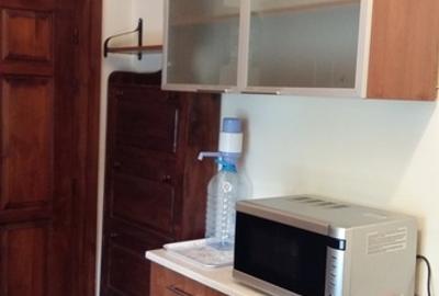 Garsonieră semidecomandată în Grădina Icoanei - 11